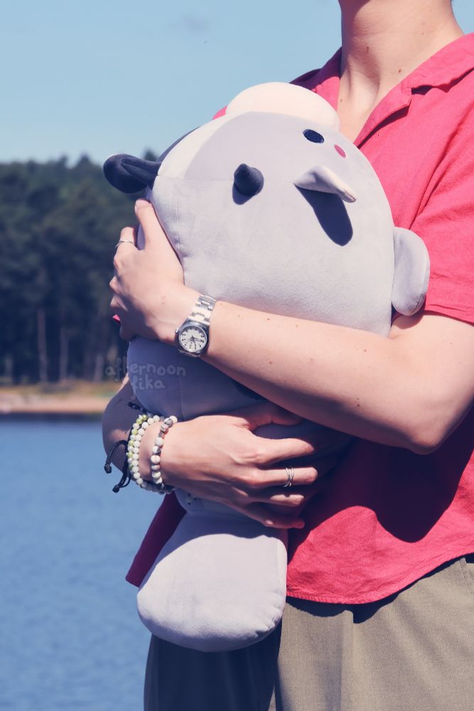 A photo of Umiko the sea cow, being cuddled closely with both arms by a person wearing a red short-sleeved shirt, in front of a lake backdrop. Umiko is a light grey, with two horns on her head and a big, round, pink nose. She has two frontal fins and a big, wide, round tail. all of these soft and cuddly! She is about the size of the person's chest, and very rotund. The perfect cuddle companion during summer days!