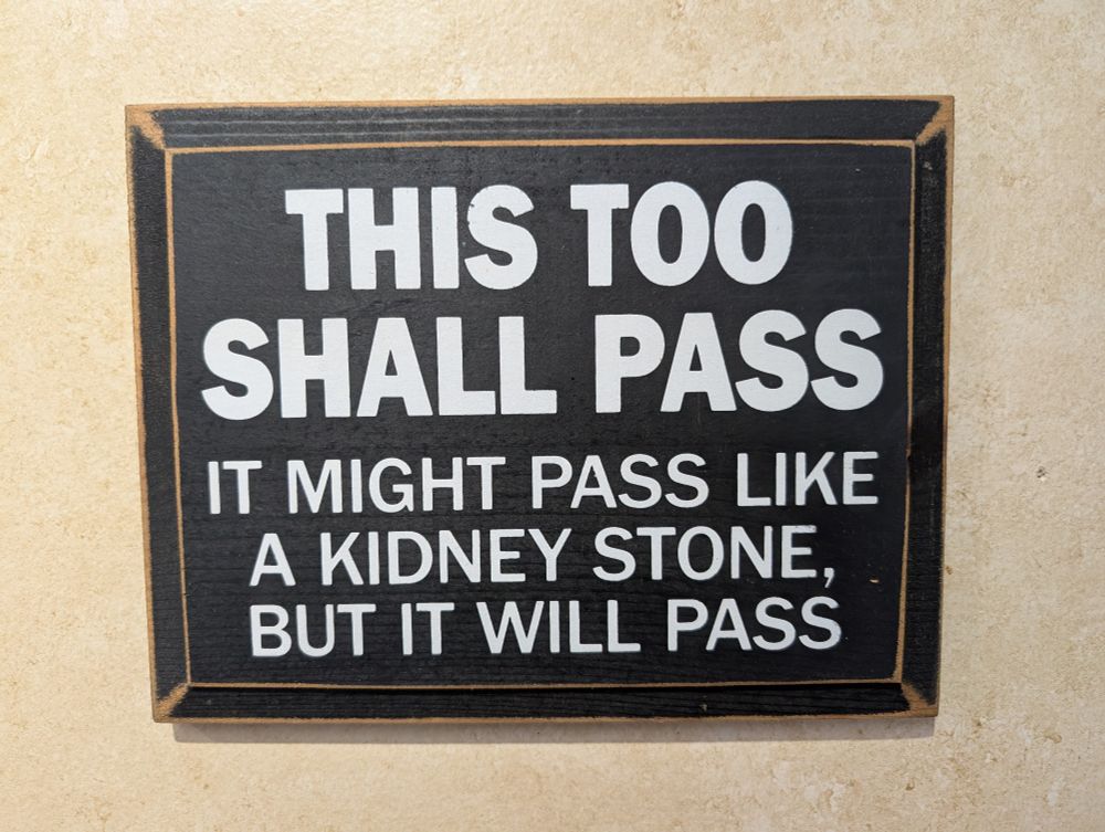 Sign that says "This too shall pass. It might pass like a kidney stone, but it will pass." 