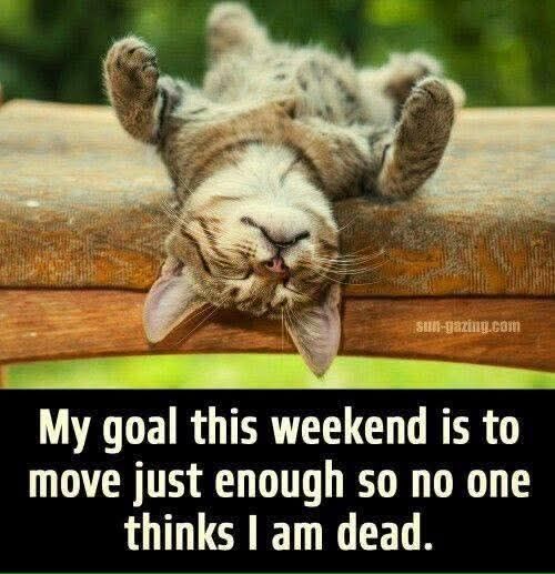 A picture of a cat lying lengthwise on its back on a cushion with its head flopping over the edge of the cusion. Eyes closed and paws in the air, indicating sleeping. Underneath are the words "My goal this weekend is to move just enough so no one thinks I'm dead"