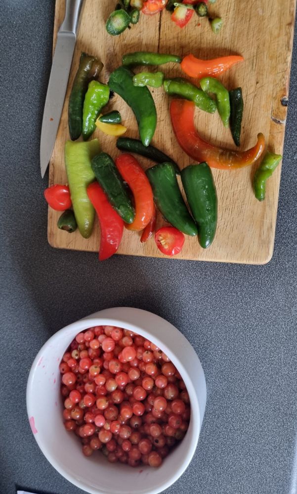 A bowl of red currant next to a chopping a board with a knife and lots of chili peppers.