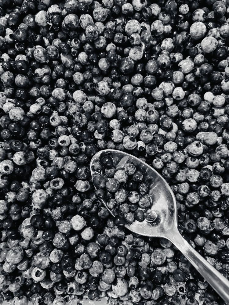 A close-up photo of a container full of wild blueberries with a metal spoon tucked into them.