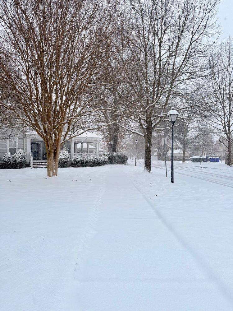 Neighborhood street with houses and trees covered in snow.