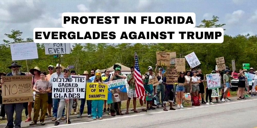 Anti-Trump Protests In Florida and More Great News