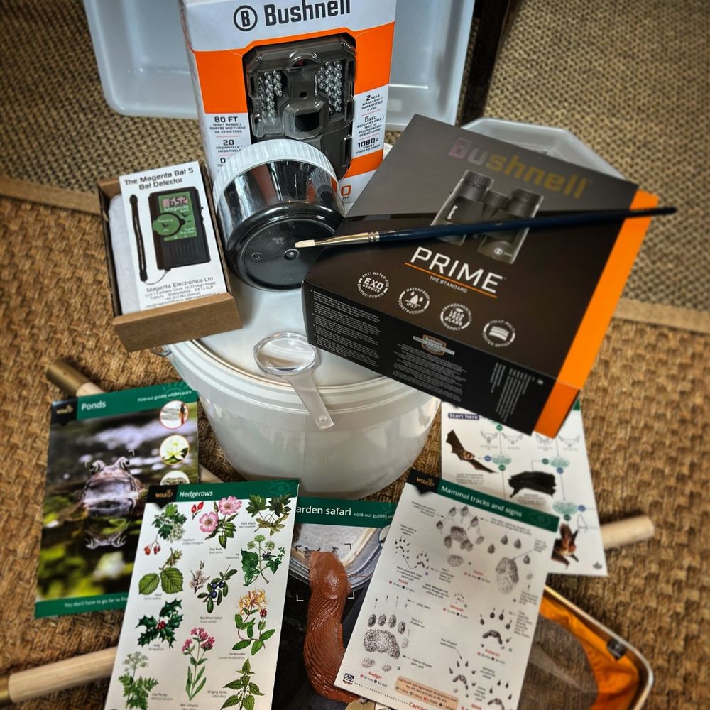 A pile of ecological surveying equipment, including binoculars, ID guides, a bat detector, and nets.