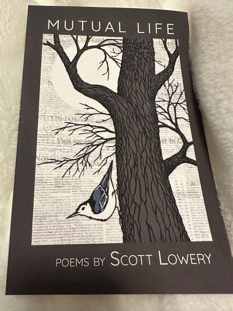 Artwork by Emily Koehler. A full moon rises behind a nuthatch on an oak tree, with faded newspaper print fading in the background 