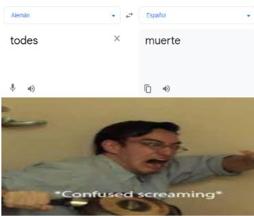 El meme de la imagen tiene dos viñetas. 
En la primera, una captura de Google Translate entre alemán y español muestra la palabra «todes» traducida como «muerte». 
En la segunda viñeta, una persona de aspecto masculino y gafas, vestida con una camisa azul, grita, mientras el subtítulo muestra las palabras *Confused screaming*.
Efectivamente, «todes», o mejor dicho «Todes» es el genitivo de «der Tod» («la muerte») en alemán. Observemos también la diferencia de género de este nombre en ambos idiomas. El género gramatical es arbitrario, es una convención lingüística, y no siempre corresponde con las realidades a las que se refiere. Sin embargo, puede influir en las percepciones que tiene la gente de una palabra concreta, y esas percepciones pueden acarrear consecuencias en la vida diaria.