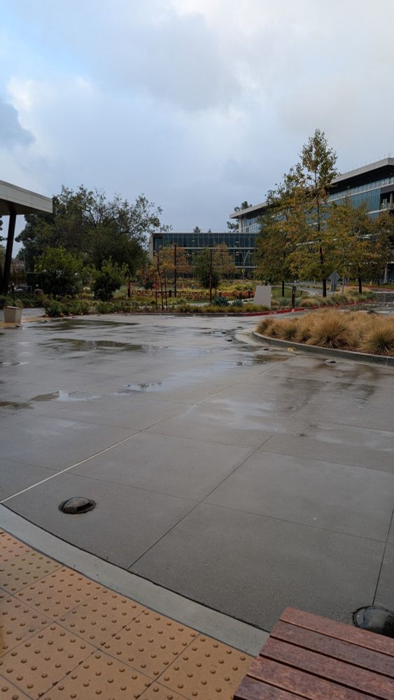 Rainy scenery 
