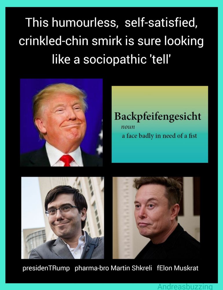 Three squares with photos of Donald Trump, Martin Shkreli, and Elon Musk wearing the same expression. The text above reads "This humourless, self-satisfied, crinkled-chin smirk is sure looking like a sociopathic 'tell'
A fourth square has the word Backpfeifengesicht (noun) a face badly in need of a fist