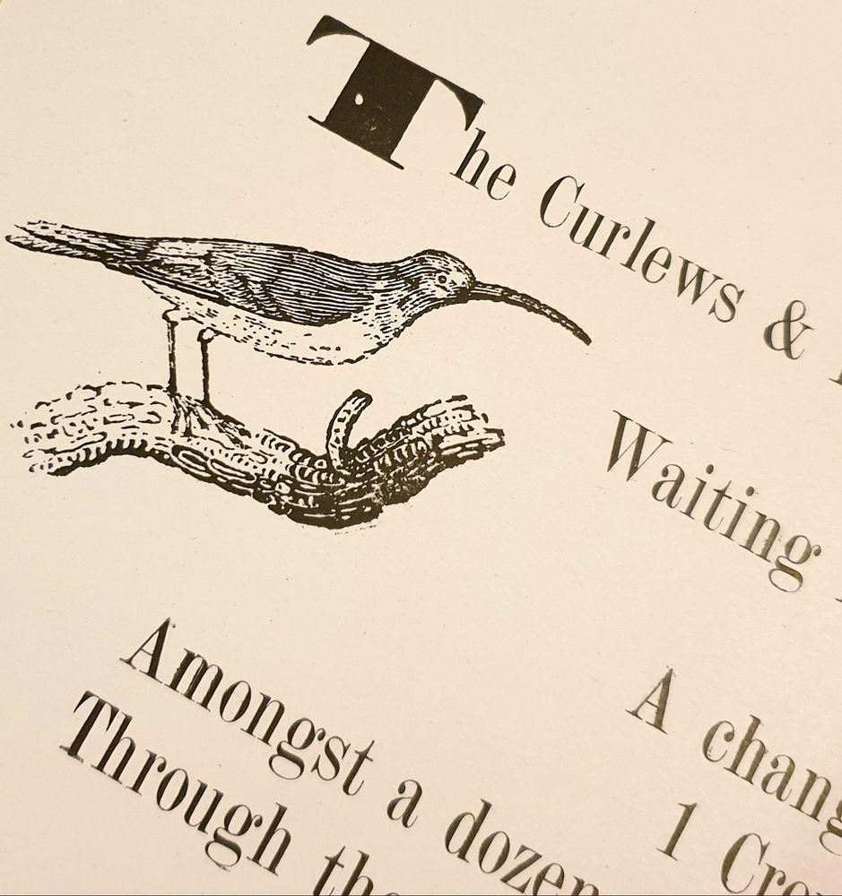 Printed engravers illustration of a Curlew in black with part of a poem about Curlews printed on off white/buff colour paper. 