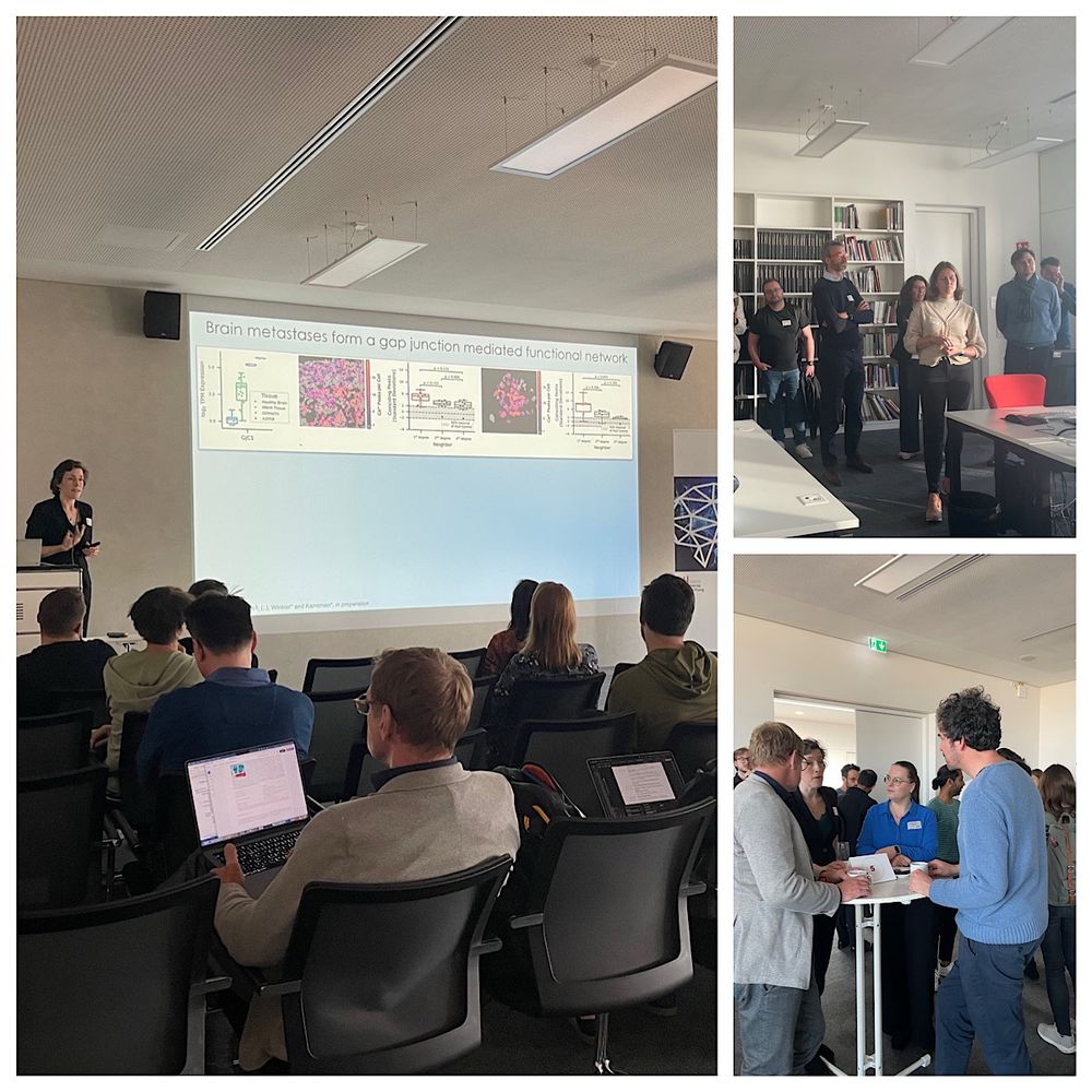 Pictures from the discussions and presentations at the meeting