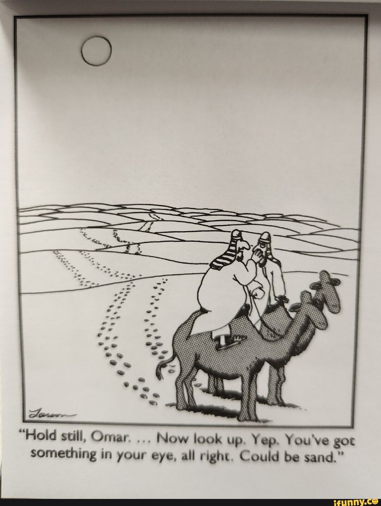 Far Side cartoon where there are two guys on camels in the desert, there is nothing to see for miles but endless desert. The caption reads: "Hold still, Omar. Now look up. Yep. You've got something in your eye, all right. Could be sand."