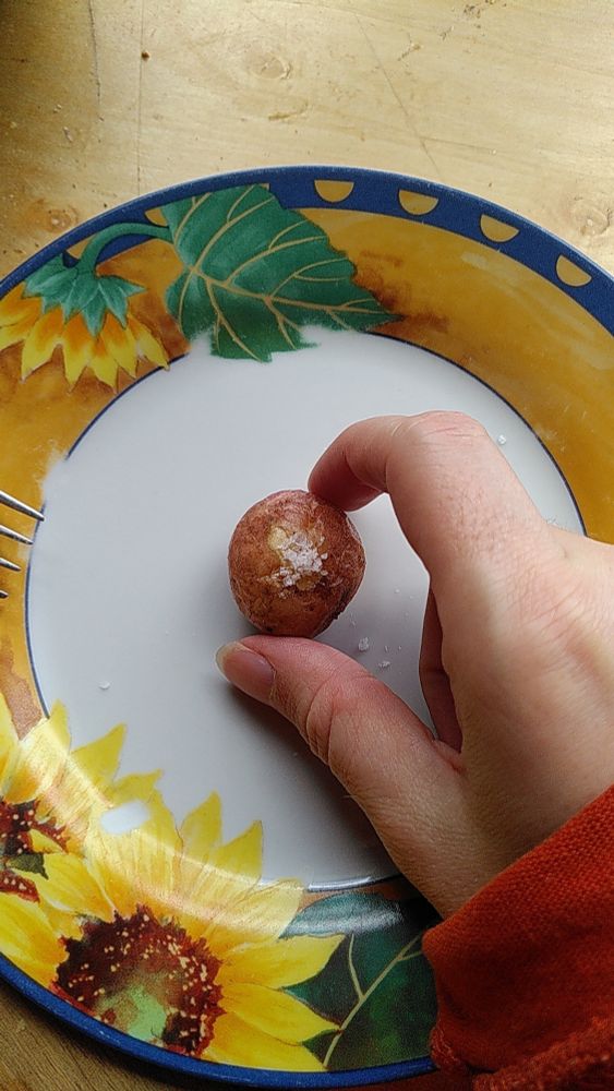 Bilde av en stekt, liten nypotet fra hagen min med salt på, hånden min og en tallerken. 