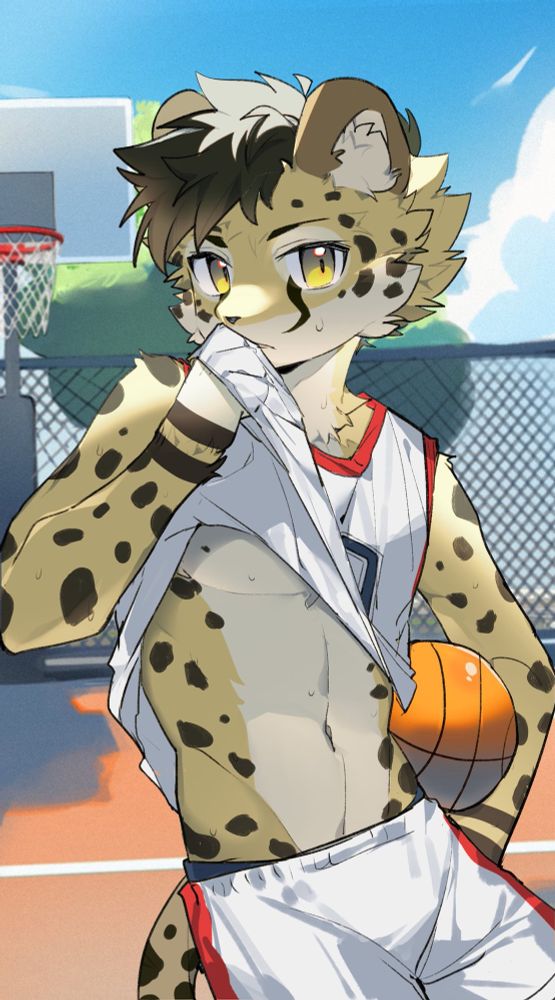 A depiction of my anthro cheetah character. He is wearing a basketball uniform, while on a basketball court. He is holding a basketball in his left arm, while lifting up his sleeveless shirt to his mouth, exposing his abdomen and chest.