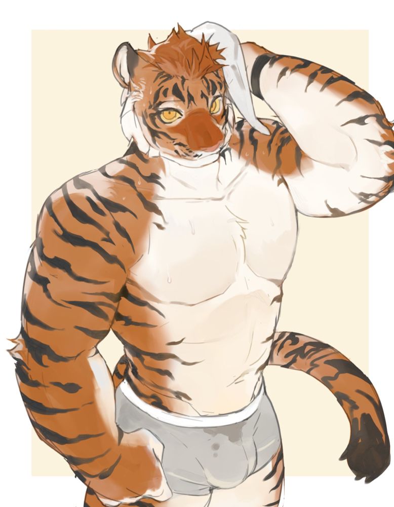 A depiction of my tiger character, Sazerac, wiping his head off with a towel. He is only shown from his upper body and torso, and only wearing underwear. Sweat can be seen dripping down him, staining said underwear.