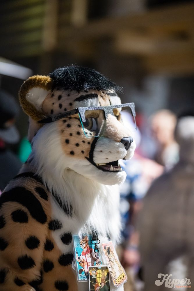 A photo of me in my cheetah fursuit, taken from the side. The eyes in the suit appear to be looking towards the camera.