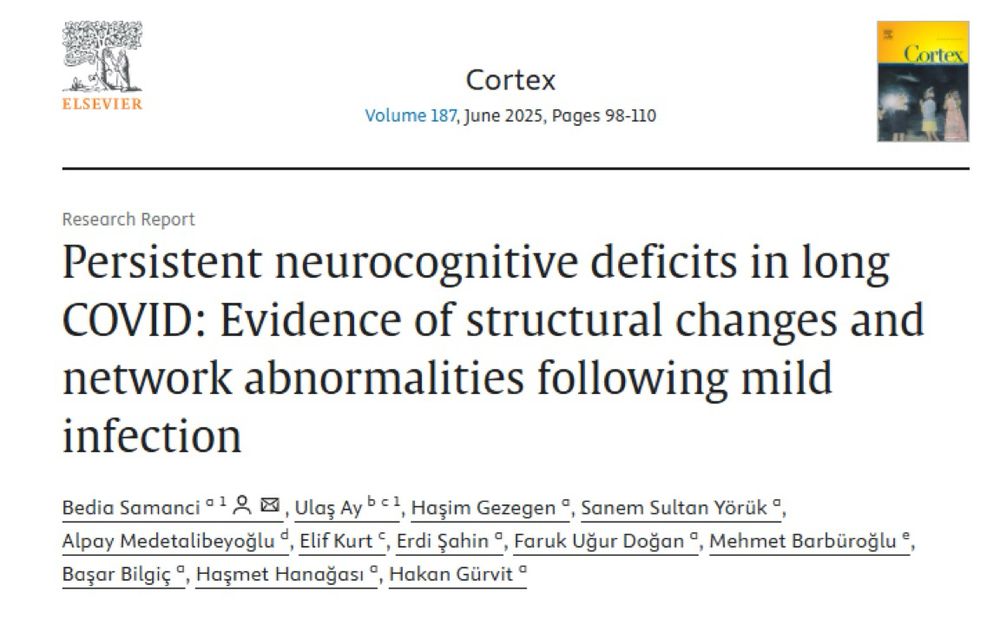Journal manuscript titled: Persistent neurocognitive deficits in long COVID: Evidence of structural changes and network abnormalities following mild infection (published in Cortex, volume 187, June 2025, pp 98-110).