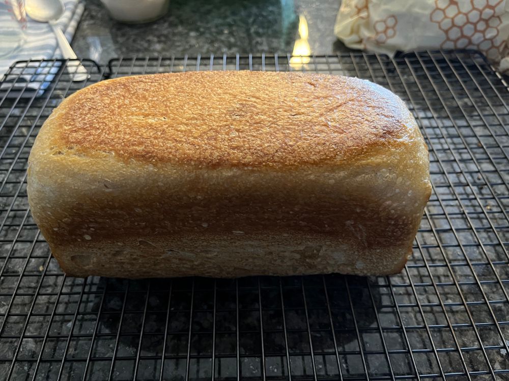 A golden loaf of sourdough bread on a wire cooling rack. Because it’s been baked in a pan with a top, it has a nice square shape. 