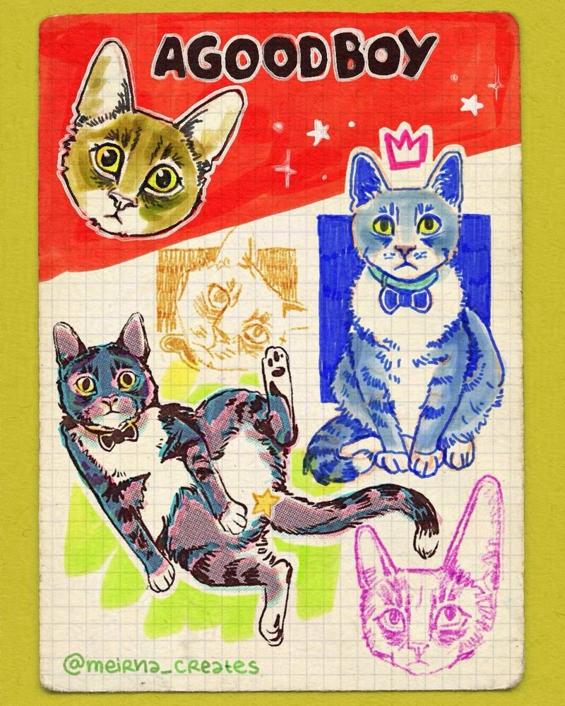 A squared piece of paper filled with doodles of a cat in different styles. Drawn digitally, mostly looking like markers and ballpoint pens and also some screen tones