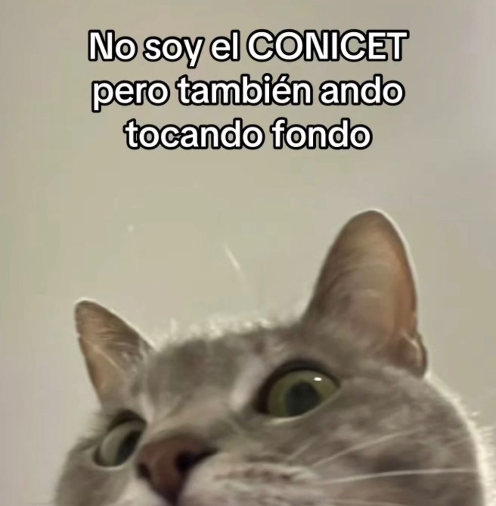 No soy el conicet pero también ando tocando fondo. 