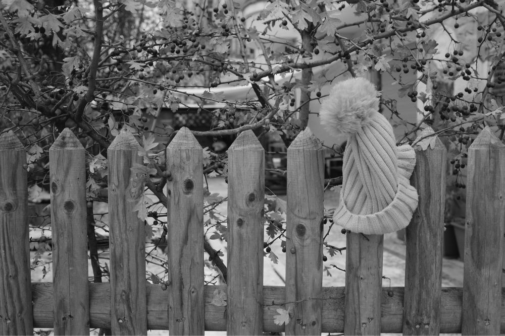 Hölzerne, bewahrer der Wolle, den kühlen Kopf als Chance sehen