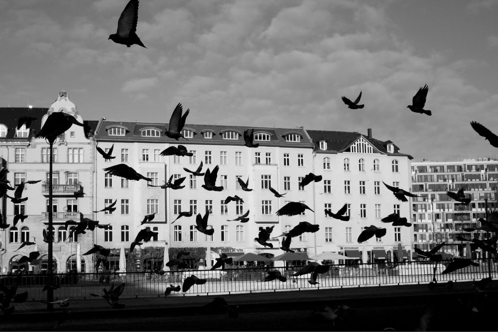 dramatische Menge, Flügel an Flügel ohne Drehbuch, Zuschauer aus Glas und Beton schweigen