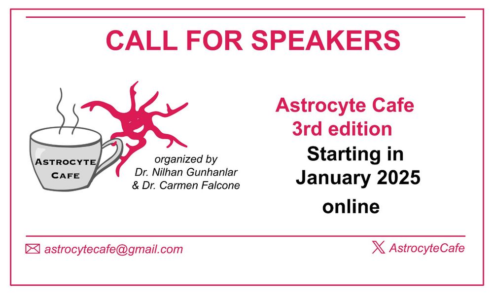Flyer saying: Call for speakers- Astrocyte Cafe 3rd edition/ Starting in January 2025 - online. Email: astrocytecafe@gmail.com 