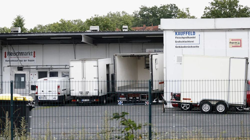 Aschaffenburg: Amtliche Tierärztinnen in Schlachthof-Skandal vor Gericht