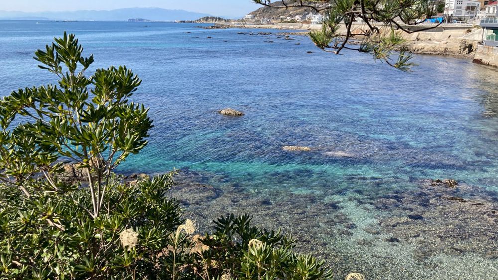 透明度の高い海
