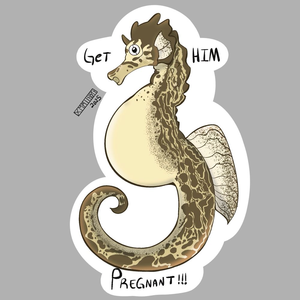 Drawing of a pregnant male seahorse with text reading “get him pregnant!!!”