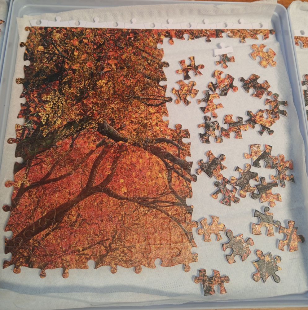 a close up of the middle puzzle tray, showing off the rich oranges, red, and yellows that make up the tiny autumn leaves. or maybe 'distant', not tiny, as the whole puzzle is a painting of a walkway through a forest, looking a bit up at the high high trees overhead. either way, the image is full of small fiddly details that all sort of blend together, interrupted by twisty branches popping in and out of the canopy, making it a bit challenging to piece the puzzle together by color or pattern instead of shape. 