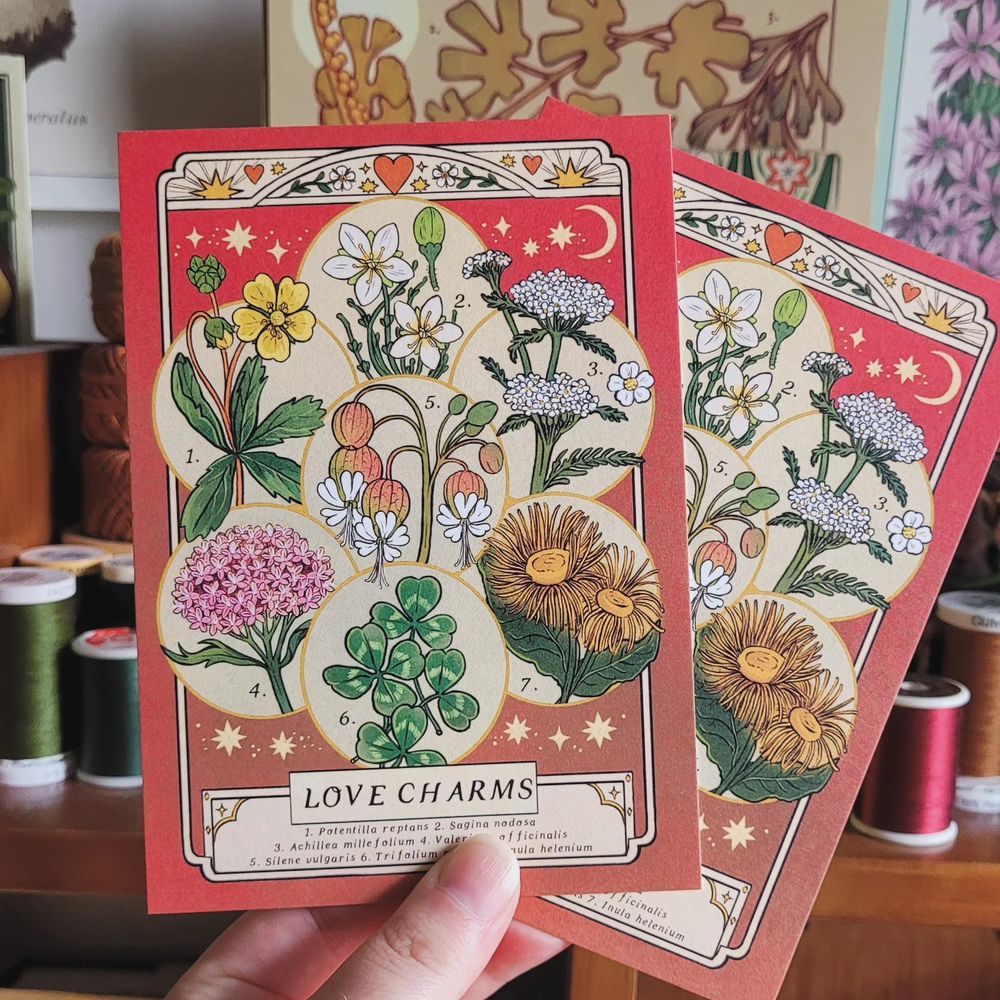 pink botanical postcards held up to the photo lens. there is a wooden shelf with sewing threads and botanical prints in the background.