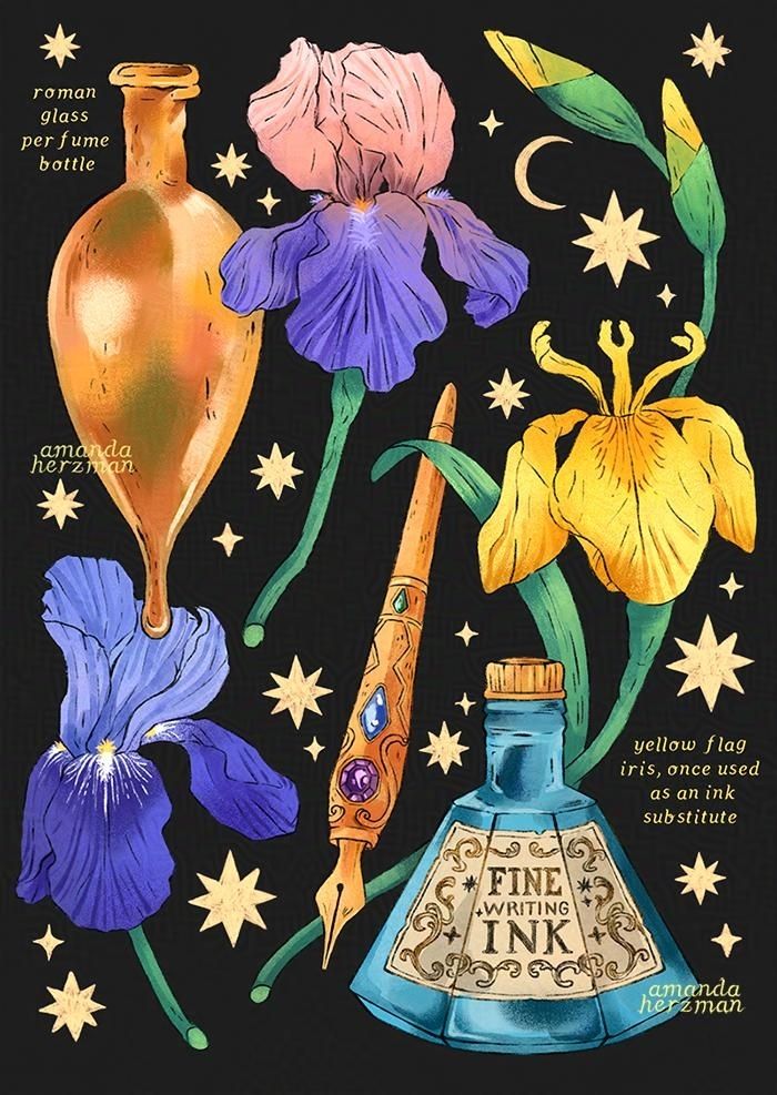 a black background with bright iris illustrations. these are some of the iris past uses. a Roman perfume bottle is the top left, as iris was once used to produce orris root, a perfumed oil used for centuries. on the bottom right is a gold writing nib decorated with gems and a blue glass ink bottle for writing ink. behind it is a yellow flag iris, which was once mixed with iron sulfate to make ink on the island of Jura in Scotland