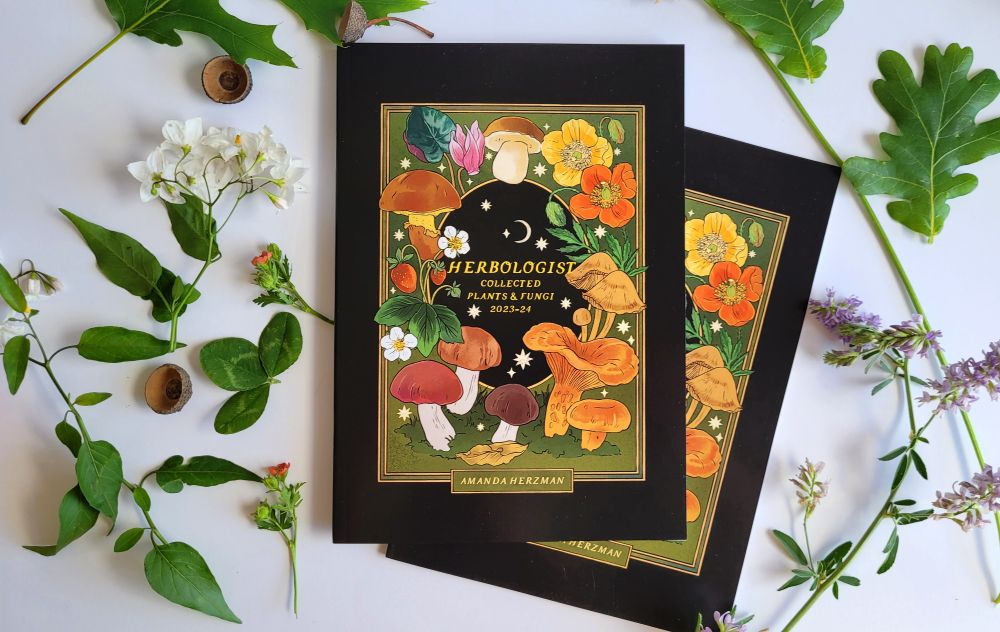 two zines with a black cover and gold and green frame in the middle. it has many plants surrounding the inner frame. the title is Herbologist, collected plants and fungi 2023-2024. Surrounding the zine is flowers, leaves and acorns picked from my neighbourhood. 