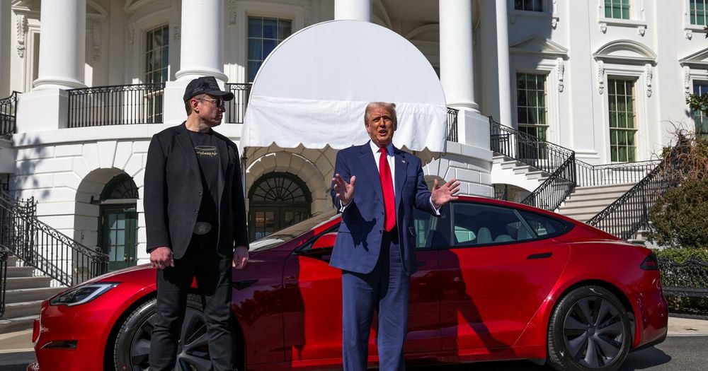 Tesla investors are said to have grown frustrated over Musk’s involvement in politics and its impact on their wallets