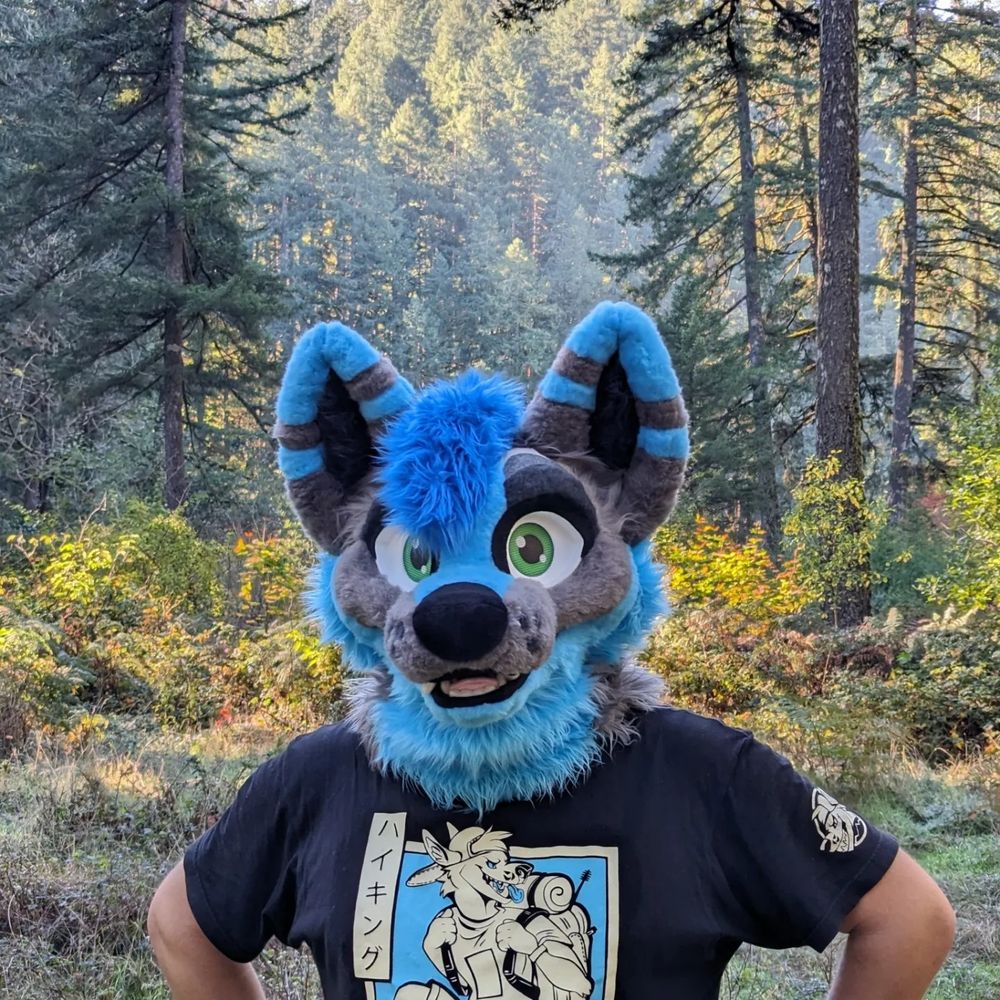 Dumb gay blue dog stands in nature