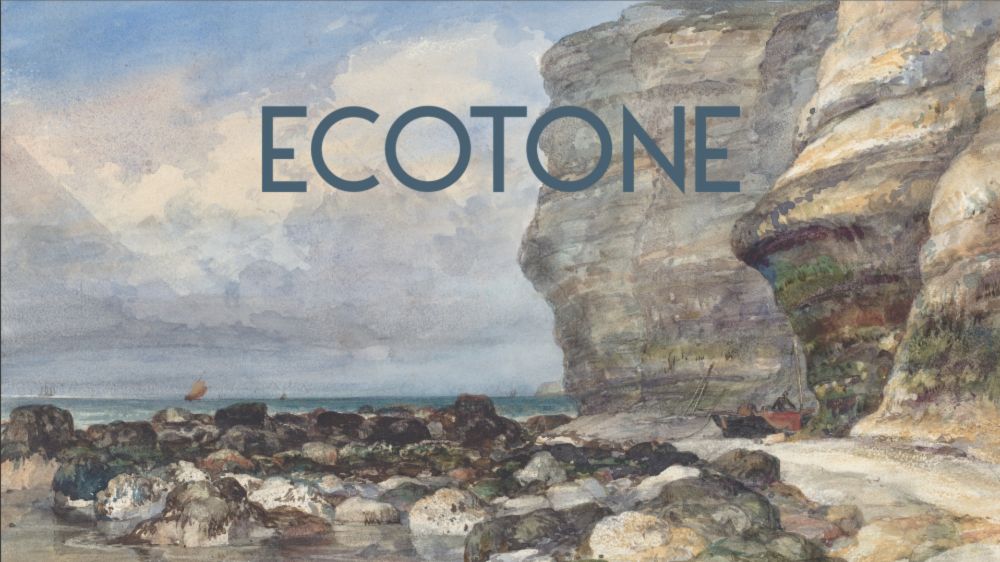 Ecotone by Nightwell Games