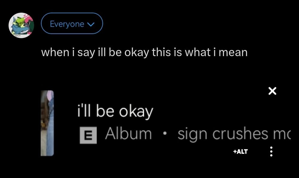 "when i say ill be okay this is what i mean" and a picture of the album 'ill be okay' by sign crushes motorist