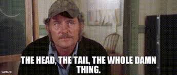 Quint knew boats