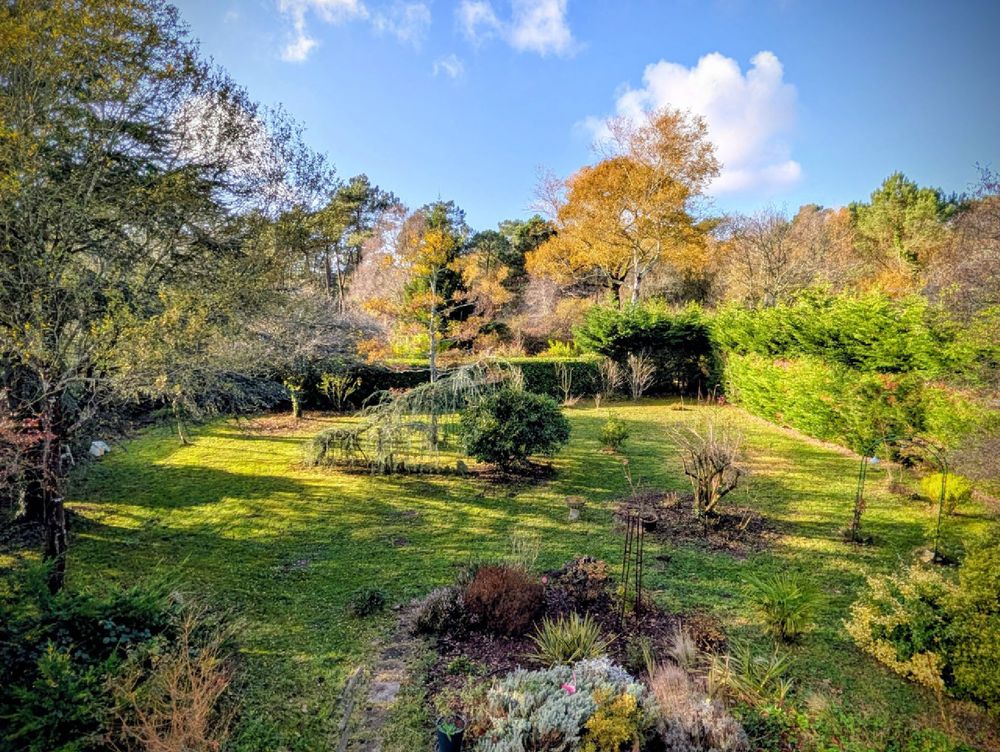 Vue du jardin avec une belle lumière dorée automnale sur les arbres et la pelouse. Le ciel est bleu et avec des nuages blancs. 