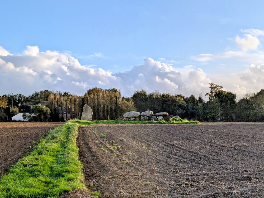 Dans un champ qui a été labouré, on aperçoit au centre une allée couverte et un menhir. 