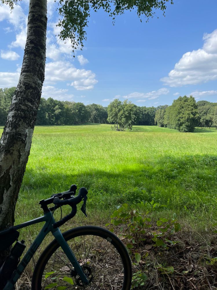 Ein Gravelrad lehnt an einer Birke vor eine grünen Wiese. Im Hintergrund stehen Bäume und der Himmel ist zu sehen 