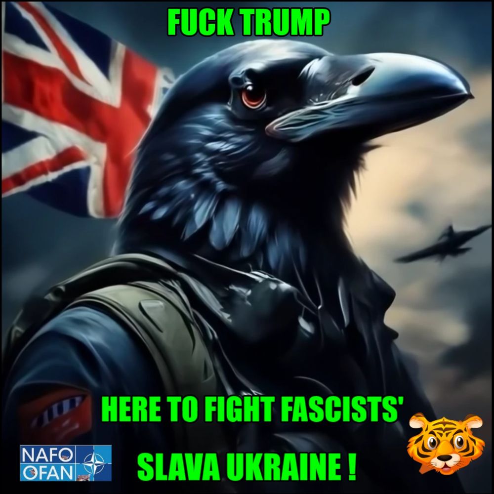 Comment image