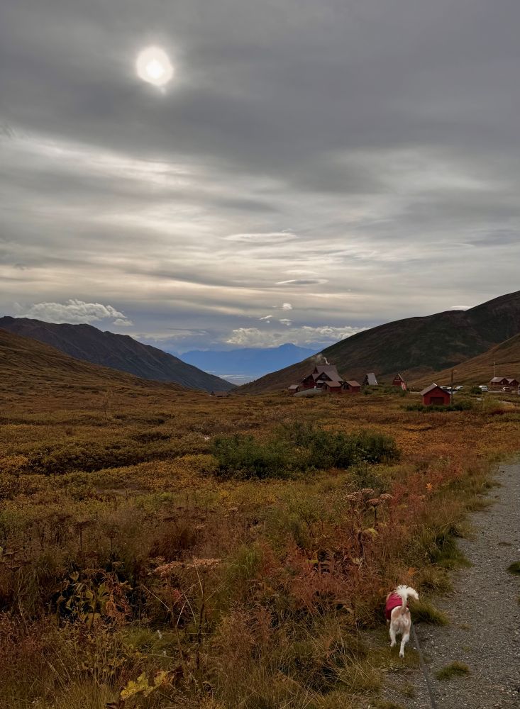 A dog in the foreground, buildings and mountains in the background. Cloudy with sun showing through clouds. 