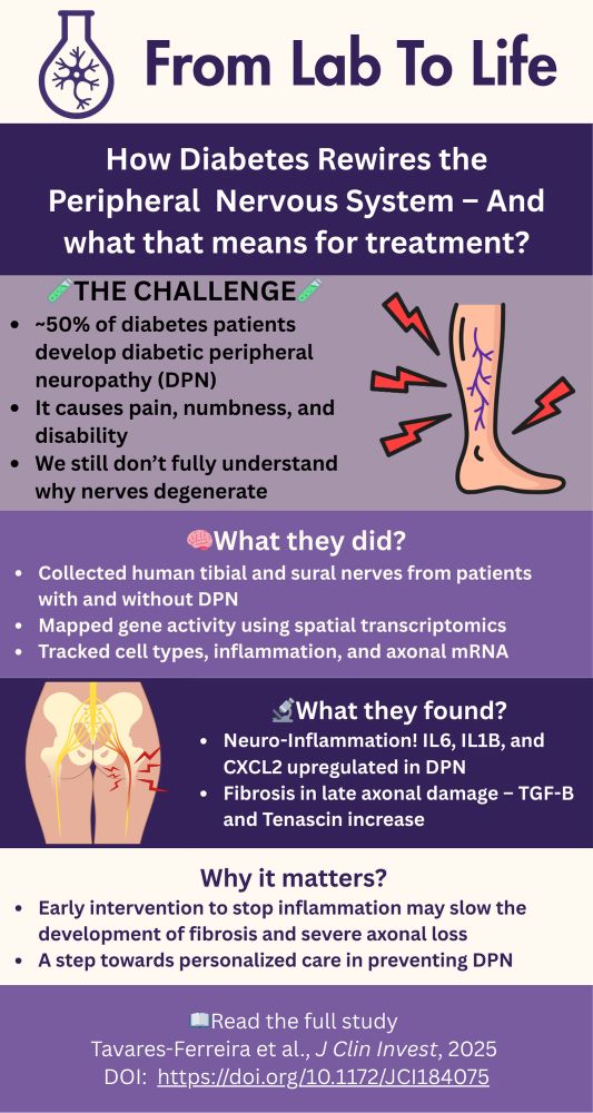 Infographic titled 