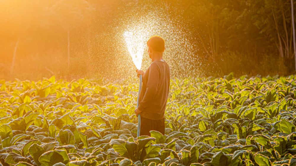 In California's Central Valley, large farms have depleted the groundwater. Now, they'll have to pay - Fast Company