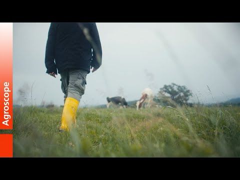 Agroscope Image Film
