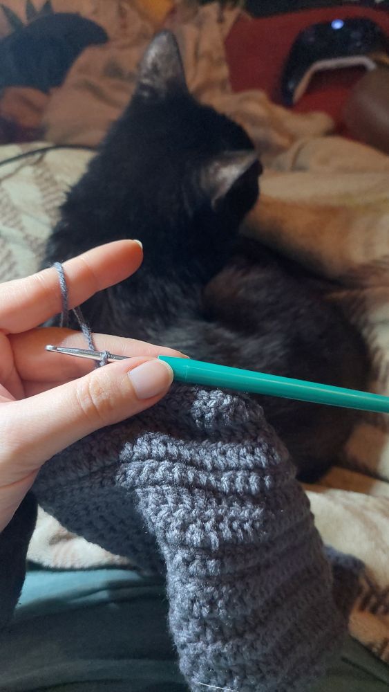 Meine schwarze Katze liegt auf meinem Schoß, während ich über ihr an meinem grauen Schal häkle