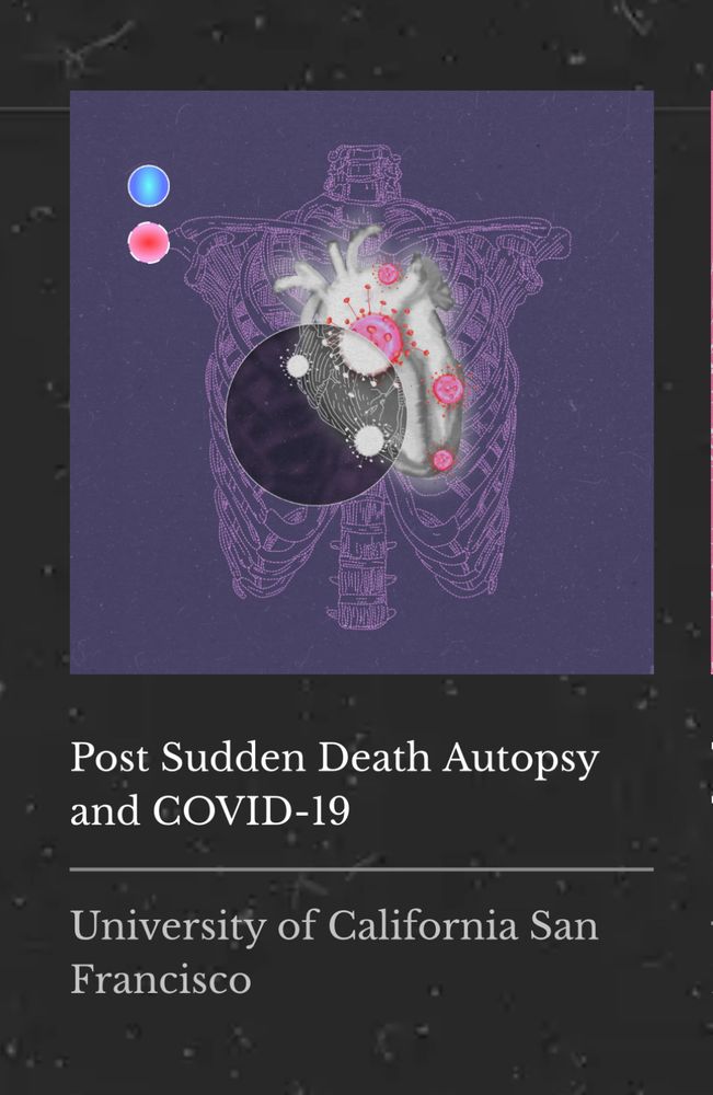 A pink chest cavity showing a white scientific diagram of the heart, with a circular section zoomed in to show pink viruses infecting the tissue.