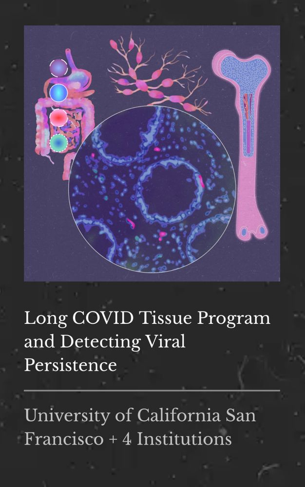 A pink bone with blue + red bone marrow to the right of a zoomed in microscope image of cells with red dots to depict viral persistence. To the left of the circular image of cells is a pink and purple gastrointestinal tract. Directly above the cells is a pink neuron with several branches.