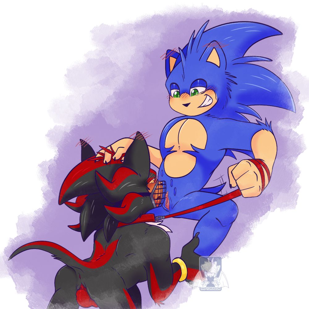 smut art of sonic and shadow, from sonic the hedgehog. Sonic hold shadow on a leash, legs spread as he places the black hedgehog against his pussy. shadow is muzzled and on all four, dick hard between his legs.